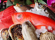 居酒屋 うまいもん 求人 築地で目利きをして仕入れる鮮魚を扱えます！