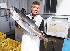 弥平 本店 求人 