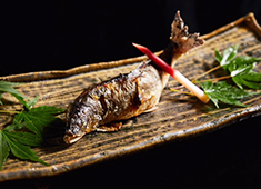 日本料理 佑月／株式会社Ddining※開業準備室 求人 