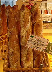 Masseria Cafe（マッセリア カフェ） 求人