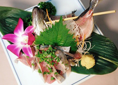 だいこんの葉菜 求人 築地直送で毎日新鮮でリーズナブルな料理を提供しております！あなたの幅がひろがりますよ！