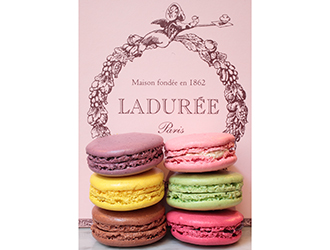 MACAROON JAPAN 株式会社 求人