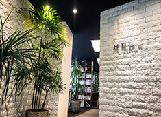 やきとん木々家／株式会社木々家 求人 飲食企業でありベンチャー企業！今後は、やきとん以外の業態なども出店計画あり！
