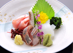 和食 伊豆の旬 やんも／仕出し厨房やんも 求人 今回は和食調理経験者メイン募集。あなたの経験や能力、年令、前職給与等を考慮し、給与を優遇致します。
