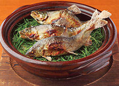 魚菜 基（もとし） 求人 素材の味を大切にした日本料理の魅力を伝える