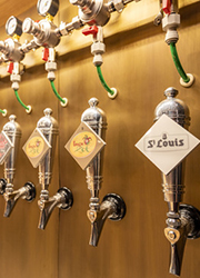 「世界のビール専門ブランド」事業部／World Liquor Importers株式会社 求人