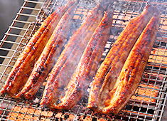 鰻せいろう 髙之屋／株式会社髙之屋 求人 香ばしく焼きあがった鰻を、ふっくらと蒸しあげる「せいろう蒸し」に舌鼓♪