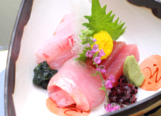 和食 伊豆の旬 やんも 求人 今回は和食調理経験者メイン募集。あなたの経験や能力、年令、前職給与等を考慮し、給与を優遇致します。