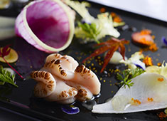 Trattoria Restaurant CARESS 求人 繊細でアートのようなイタリア料理は多くのお客様に愛されています。