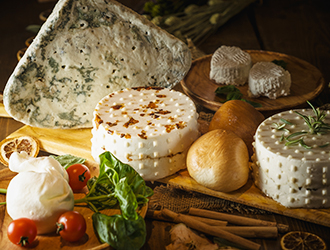 株式会社オリノ/CHEESE FAICAL 求人