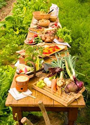 「HATAKE CAFE 日本橋店」「HATAKE CAFE 新宿店」 求人