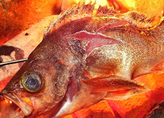 株式会社ムーブメンツ 求人 ▲魚を捌ける方は特に優遇致します。様々な炭火焼料理にも力を入れていきます。