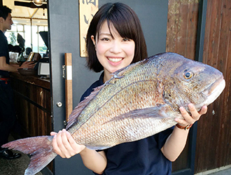 江ノ島小屋 求人