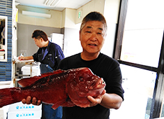 弥平 本店 求人 