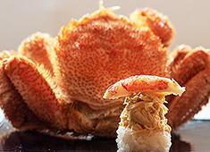 「鮨 青海（おうみ）青山店」「鮓 湊（みなと）」「鮨 天海（あまみ）」、他 求人 旬や走りを大切にする江戸前鮨の伝統を守りながらも、斬新なメニューや美しい盛り付けでお客様を楽しませています。