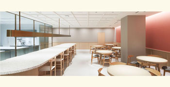 Beauty Connection Ginza Fruits Salon／株式会社MTG 求人