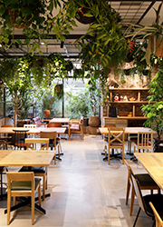 FARMER'S KITCHEN／株式会社ユニバーサル園芸社 求人