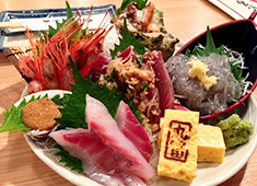 株式会社 丸富/丸冨水産・丸富食堂 求人 沼津の港より獲れたて鮮魚が直送され、都内各所のお店で提供しています。