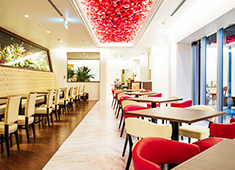 「Italian Cafe＆Bar Piatto」「Pizzeria Piatto」／フューチャースペース 求人 ▲窓一面から光が差し込む明るい店内。