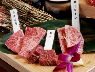 焼肉ダイニング夢一　(中央フードサービス株式会社) 求人