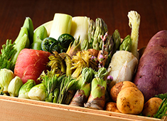 天ぷら 元吉（もとよし） 求人 野菜の瑞々しさや香りを活かすために、油の温度や衣の付け方を自在にコントロールする奥深き天ぷらの世界。