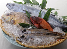 橙や／株式会社橙や 求人 