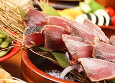 株式会社 フードナビ 求人 鰹藁焼きをはじめ、四国の郷土料理を提供するお店がNEWオープン！