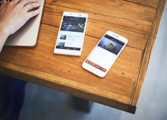 CRISP SALAD WORKS／CRISP,INC.（株式会社 クリスプ） 求人 お家や職場にいながらもクリスプのサラダを楽しんでいただける。新しい事業の中心となって活躍しませんか？