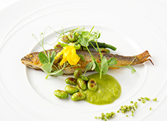 Ristorante ACQUA PAZZA（アクアパッツァ） 求人 料理本の出版、全国の催事・イベント等、様々な依頼を頂く為、料理を作る・提供する仕事の他にも幅広い経験ができますよ！