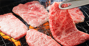 株式会社ジャパントランスワールド／焼肉ホルモンマークマツオカ（仮） 求人