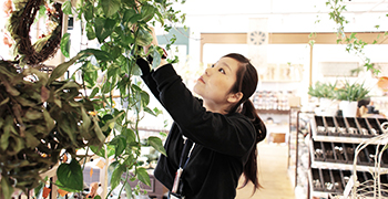 BOULANGERIE Cafe Ruban（リュバン）、RESTAURANT MEGUMI（メグミ）／株式会社フローラ企画 求人