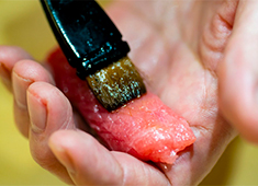 株式会社 プレジャーフーズ（江戸前鮨開業事業部） 求人 口福な余韻を残す江戸前鮨の数々。