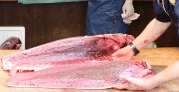 小さな魚がし 野口鮮魚店／築地 大宮商店 求人