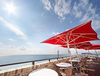 「Ristorante AMALFI」「鉄板焼き 七里ガ浜」他／株式会社ビィバリュー 求人