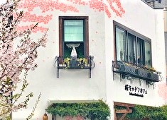桜キッチンカフェ 求人 開放的な雰囲気の中、のびのびと楽しく働ける好環境！女性スタッフに人気の環境です！