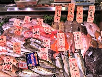 株式会社 魚力【東証一部上場】 求人