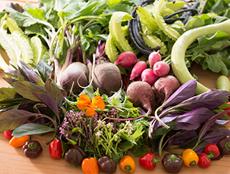 veg.yard（ベジヤード）／株式会社アマテラス・イタリア 求人