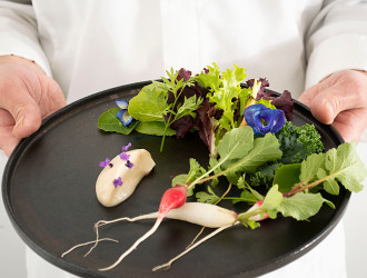 キユーピーオーガニック農園レストラン（アクアイグニス多気株式会社） 求人