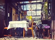 「COGITO」「MARCHE AUX VINS YAMADA」/株式会社ROND-POINT 求人 天窓からの自然光がお店を包み、風通し良い店内。感染防止にもしっかり対応できる環境です。