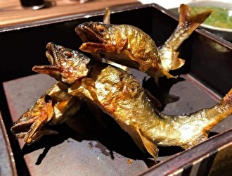 東京和食倶楽部 求人