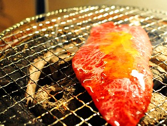 HACHI（ハチ） marunouchi、ほか／株式会社トゥエルブ 求人