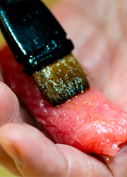 「銀座 鮨 青海」「川崎 鮨 栞庵 やましろ」など／株式会社 プレジャーフーズ（江戸前鮨開業事業部） 求人