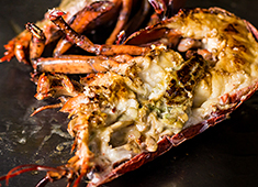 鉄板焼き ステーキ 湛山 求人 ▲四季折々の趣向を凝らした料理の数々