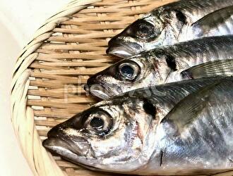魚とおかず 満津喜商店 求人
