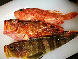 魚とおかず 満津喜商店 求人