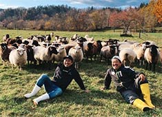 羊 SUNRISE 求人 【牧場研修】
生き物としての羊を学び、知るために羊と羊飼いさんに会いに直接牧場に行きます。