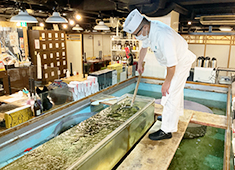 いけす道場魚家 東陽町店／魚家 株式会社 求人 店内中央にある大きな「いけす」。お客様からも見やすい場所で魚を取り、鮮度抜群の海鮮料理をご提供します。