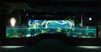 カワスイ 川崎水族館／Aqua Live Gift Co.,Ltd. 求人
