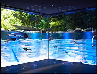 カワスイ 川崎水族館／Aqua Live Gift Co.,Ltd. 求人