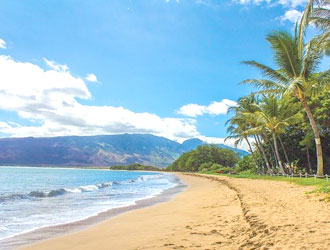 【特定非公開求人案件 S2-122-1】グルメキャリー人材紹介 求人